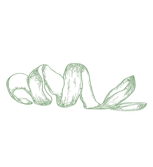 Illustration: Kakaoschale