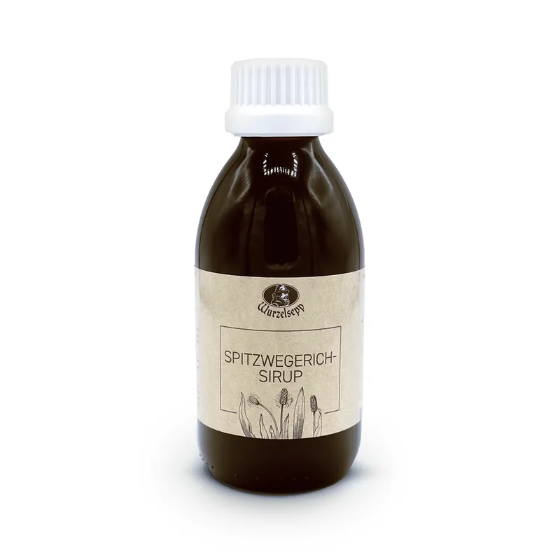 Eine braune Glasflasche mit weißem Schraubverschluss und beigem Etikett des Wurzelsepp Spitzwegerich Sirup, darunter mehrere Spitzwegerich Zweige.